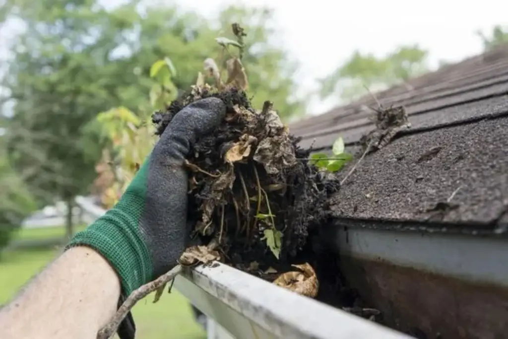 Best Time to Clean Your Gutters