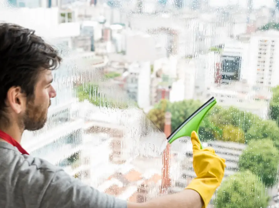 Paneless Window Cleaning