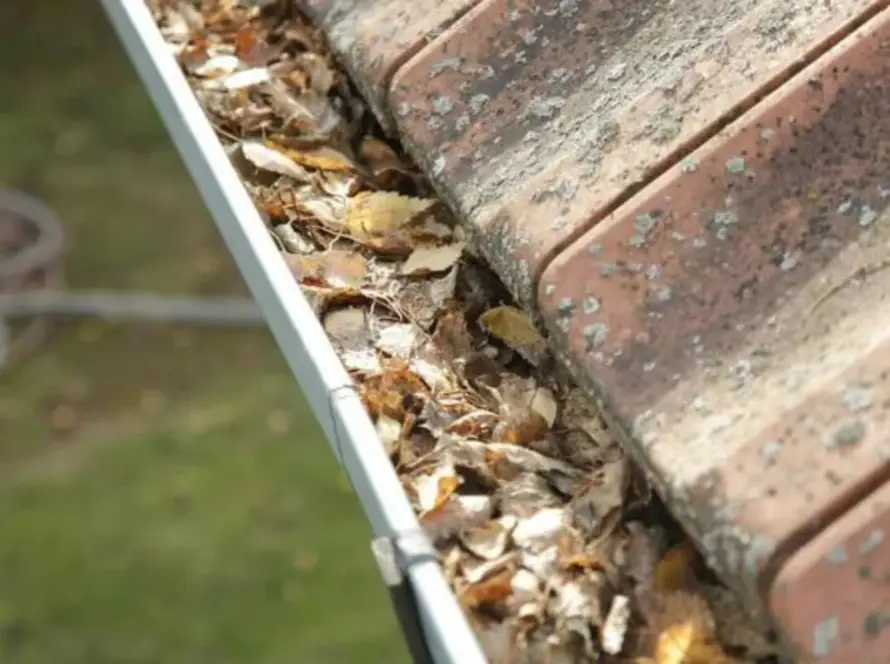 are tenants responsible for gutter cleaning