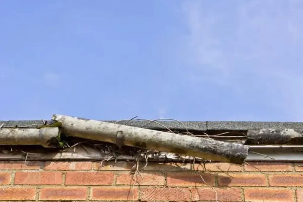 is gutter cleaning responsibility of tenant or landlord