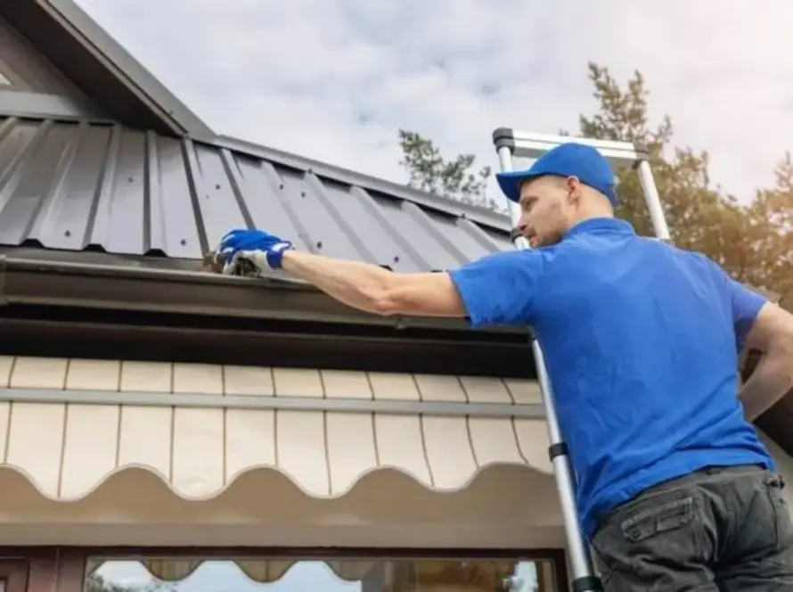 local gutter cleaning services