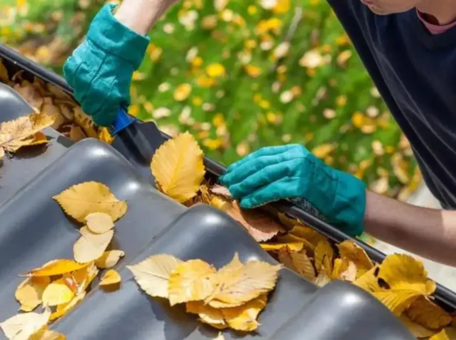 when to do gutter cleaning