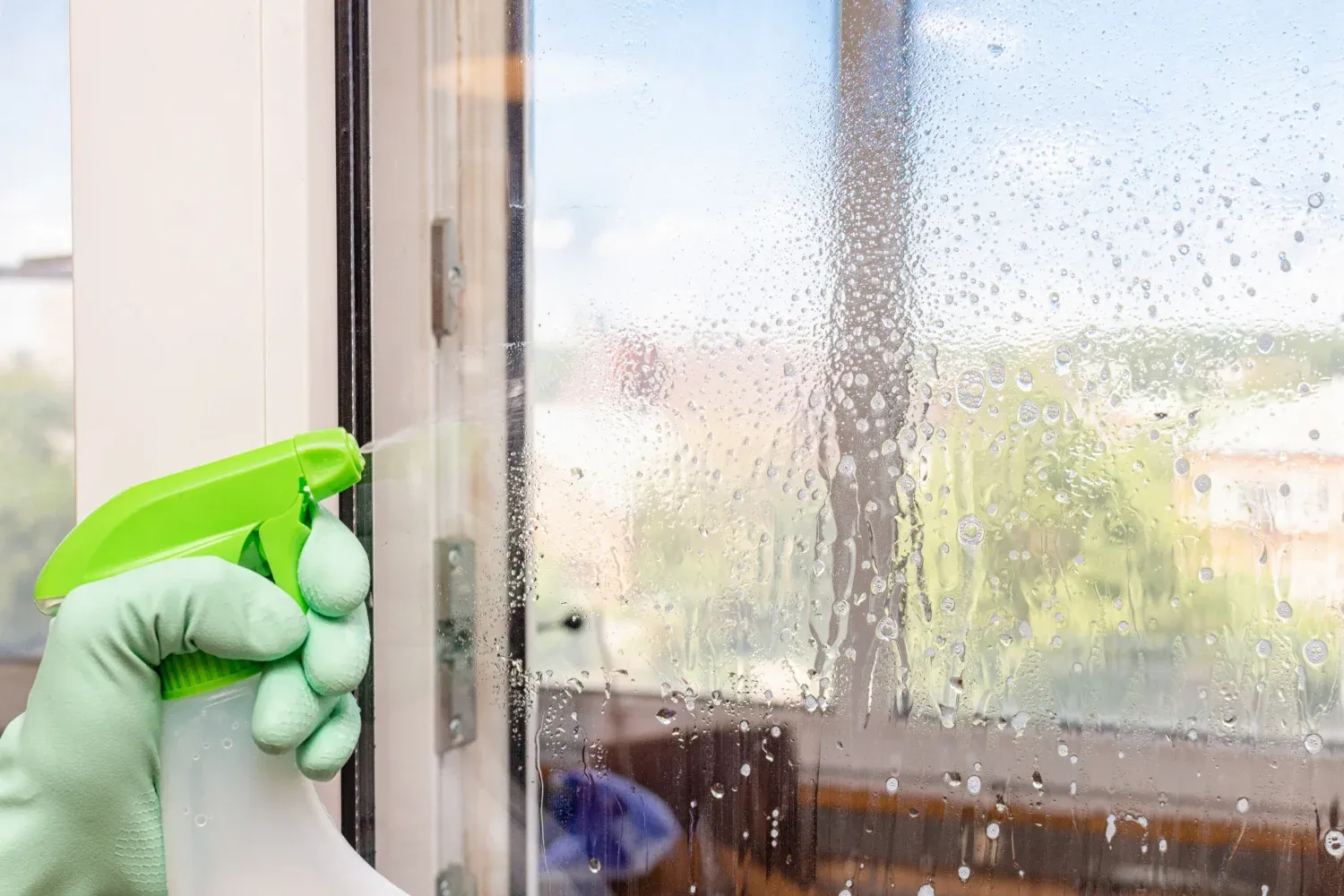 residential window cleaning services near me in pense