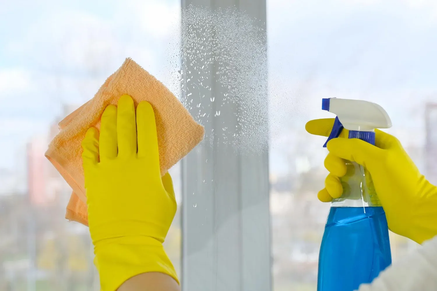 window washing in Emerald Park