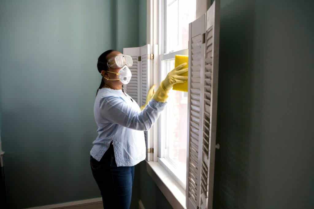 How to get rid of mold in Regina