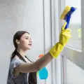 Best Methods on How to Clean Window Screens