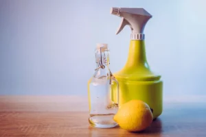 top 5 eco-friendly cleaning solutions