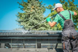 gutter cleaner