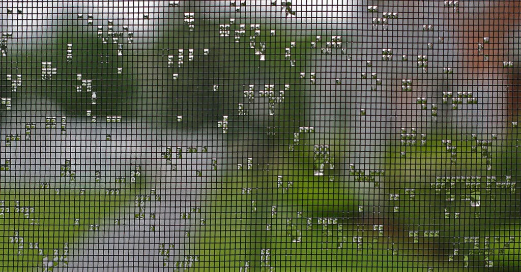 window screen cleaning