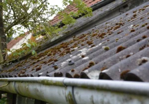 How gutters affect your roof
